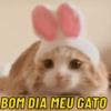 BOM DIA AMOR 💘 5