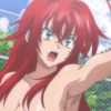 Rias Gremory... 14