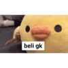 beli gk