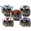 Mariamurax 11