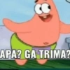 APA? GA TRIMA?