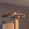 Sniper Cat