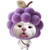 Miaw miaw 1 14