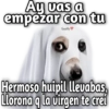 💫 Memes Halloween🤣❣️ 8