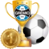 Futebol gol  17