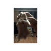 Animales Graciosos 😂 7