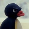 Pingu 🐧 20