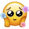 Memoji 28