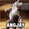 Kucing jomok 17