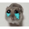 Hamster triste 25