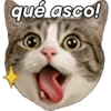 Gatos expresivos 😹🙀 10