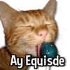 Ay Equisde