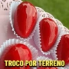 Morango do Amor 🍓 13