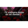 Te extraño 7