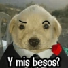 ✎ Respuestas Facheras #1 10
