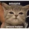 Yok 6