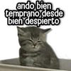 MIX de Memes #8 🏆👥 11