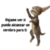 Frases estilo michi 🐱🐈 15