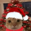 💚❤️Animalitos con gorrito❤️💚 5