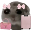 Mariamurax 29