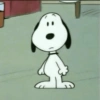 Snoopy 🐾 11