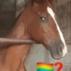 SÓ REAÇÕES ENGRAÇADAS🤣 6