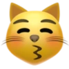 Emoji iphone 28