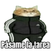Memes Randoms Para Enviar  8