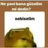 Kocama 26
