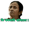 Mamata banerjee  21