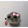 Hamsters randoms 10