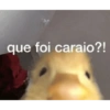 que foi caraio?!