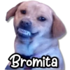 www Bromita