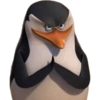 Pinguins de Madagascar meme 10