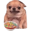 Memes 28 21