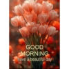 Good morning 4
