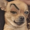 Caramelo reações  7