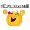 Bolita amarilla 28