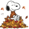 Snoopy en otoño 🍁🍂🍁🍂 6