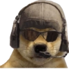 Perritos tácticos 🔥 18