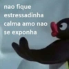 Figurinhas do pingu🐧 12