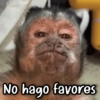 No hago favores