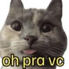 Bichinhos do ZAP 7