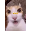 Haha 10