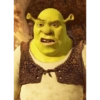 Shrek 7