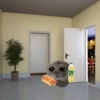Hamsters randoms 12