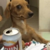 Caramelo reações  12