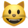 Emoji iphone 23