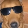 Caramelo reações  16