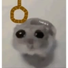 Hamsters randoms 9